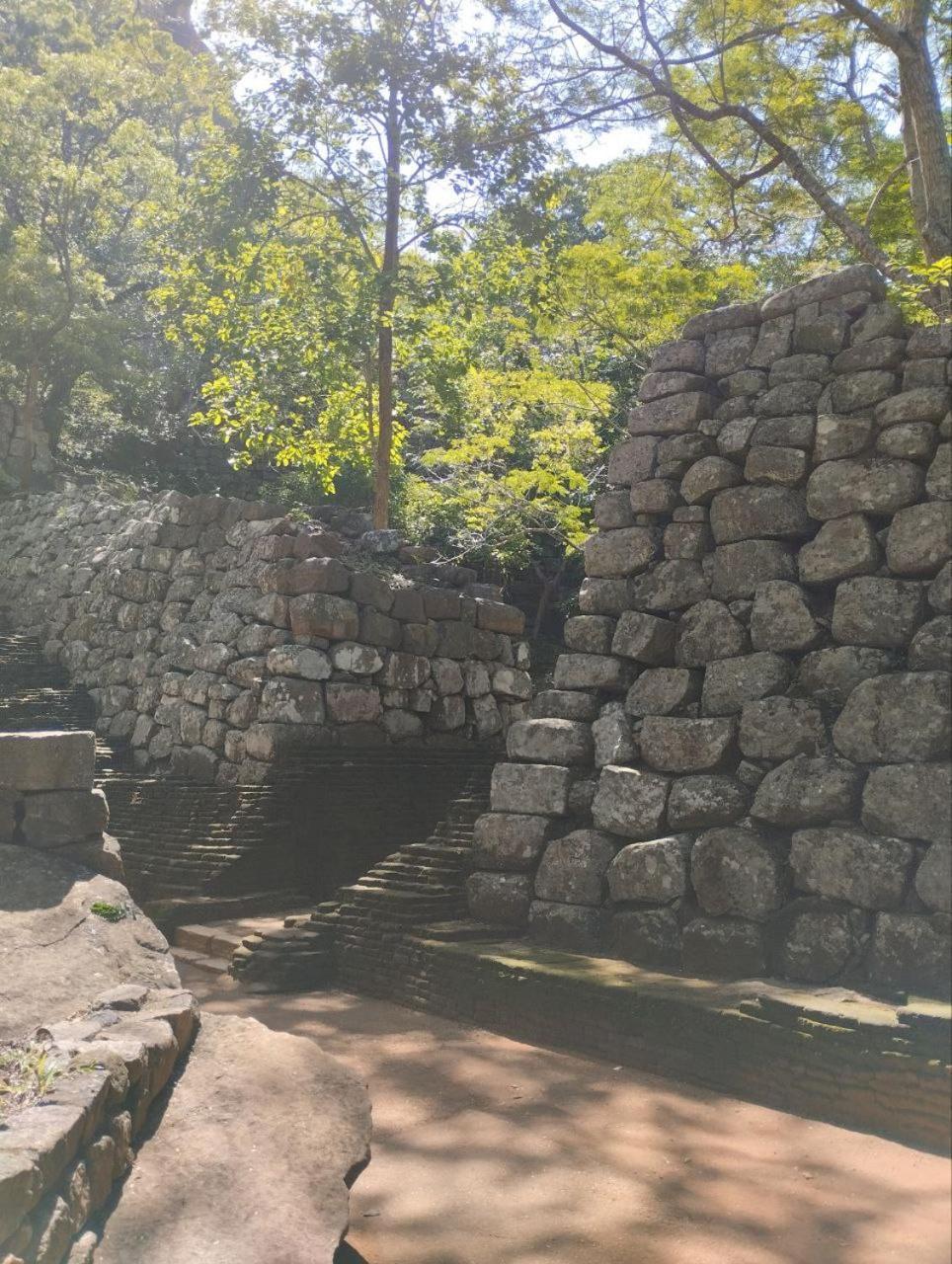 Sigiri Thilanka Rest Sigiriya Hotel Buitenkant foto
